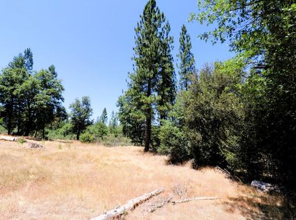 1402 Meredith Ln, Rail Road Flat, CA 95248 Photo