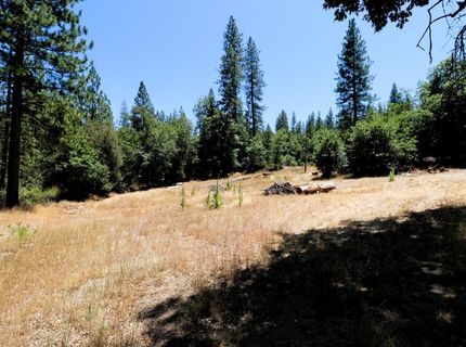 1402 Meredith Ln, Rail Road Flat, CA 95248 Photo