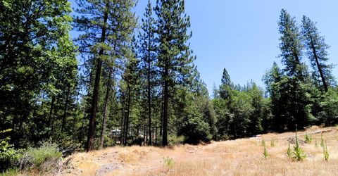 1402 Meredith Ln, Rail Road Flat, CA 95248 Photo