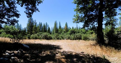 1402 Meredith Ln, Rail Road Flat, CA 95248 Photo