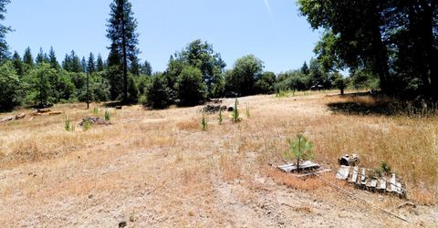 1402 Meredith Ln, Rail Road Flat, CA 95248 Photo