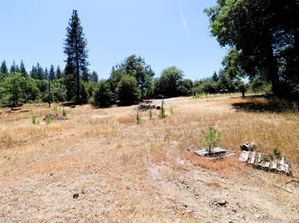 1402 Meredith Ln, Rail Road Flat, CA 95248 Photo
