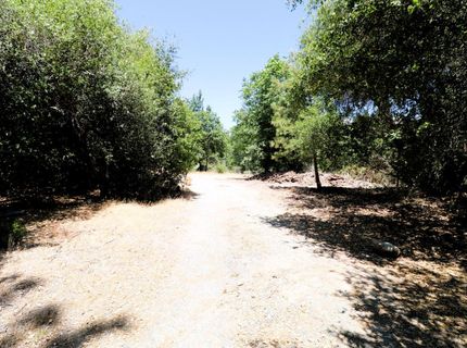 1402 Meredith Ln, Rail Road Flat, CA 95248 Photo