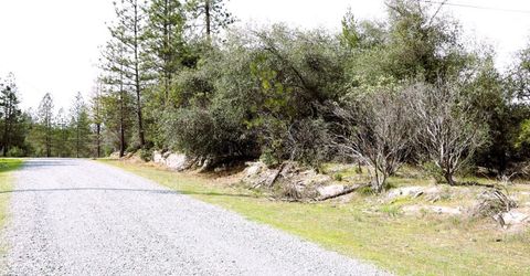 1402 Meredith Ln, Rail Road Flat, CA 95248 Photo
