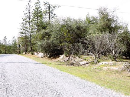 1402 Meredith Ln, Rail Road Flat, CA 95248 Photo