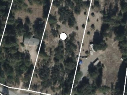1402 Meredith Ln, Rail Road Flat, CA 95248 Photo