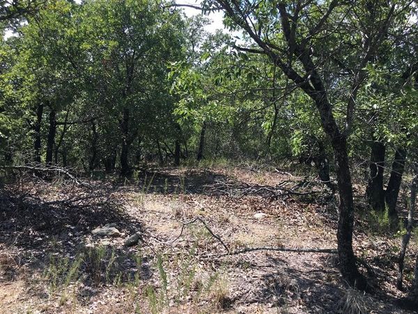 Lot 457 Lakeside Drive, Bowie, TX 76230