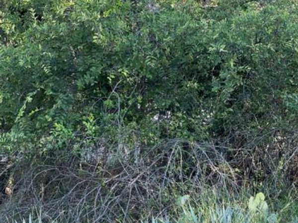 Lot 669 S Lakeside Drive, May, TX 76857