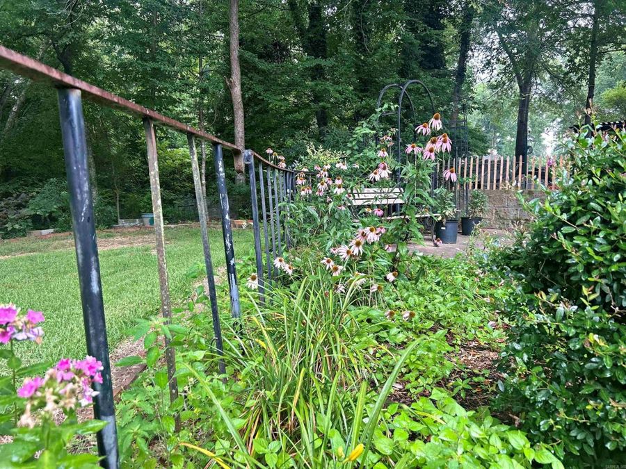 Property Image 49