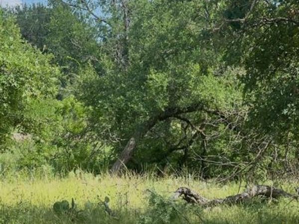 Lot 692 S Lakes Drive, May, TX 76857