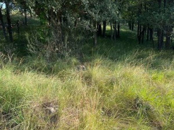 Lot 943 S Lakes Drive, May, TX 76857