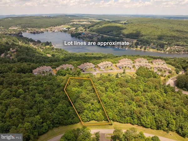 106 SNOWHAVEN LANE, MC HENRY, MD 21541