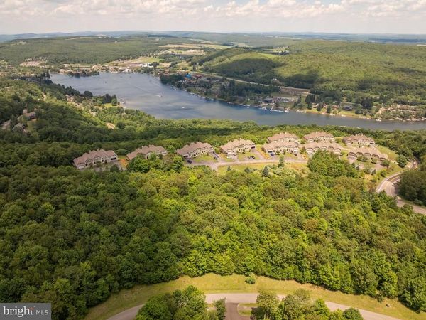 106 SNOWHAVEN LANE, MC HENRY, MD 21541