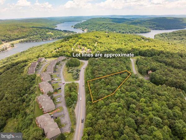 106 SNOWHAVEN LANE, MC HENRY, MD 21541