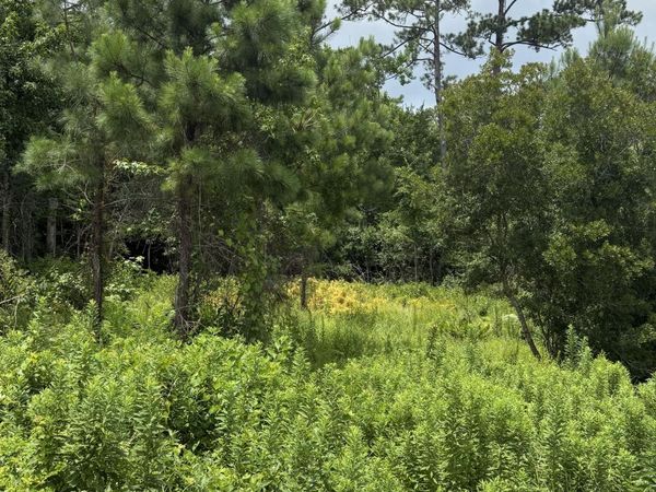 1015 Meridian Drive, Sneads Ferry, NC 28460