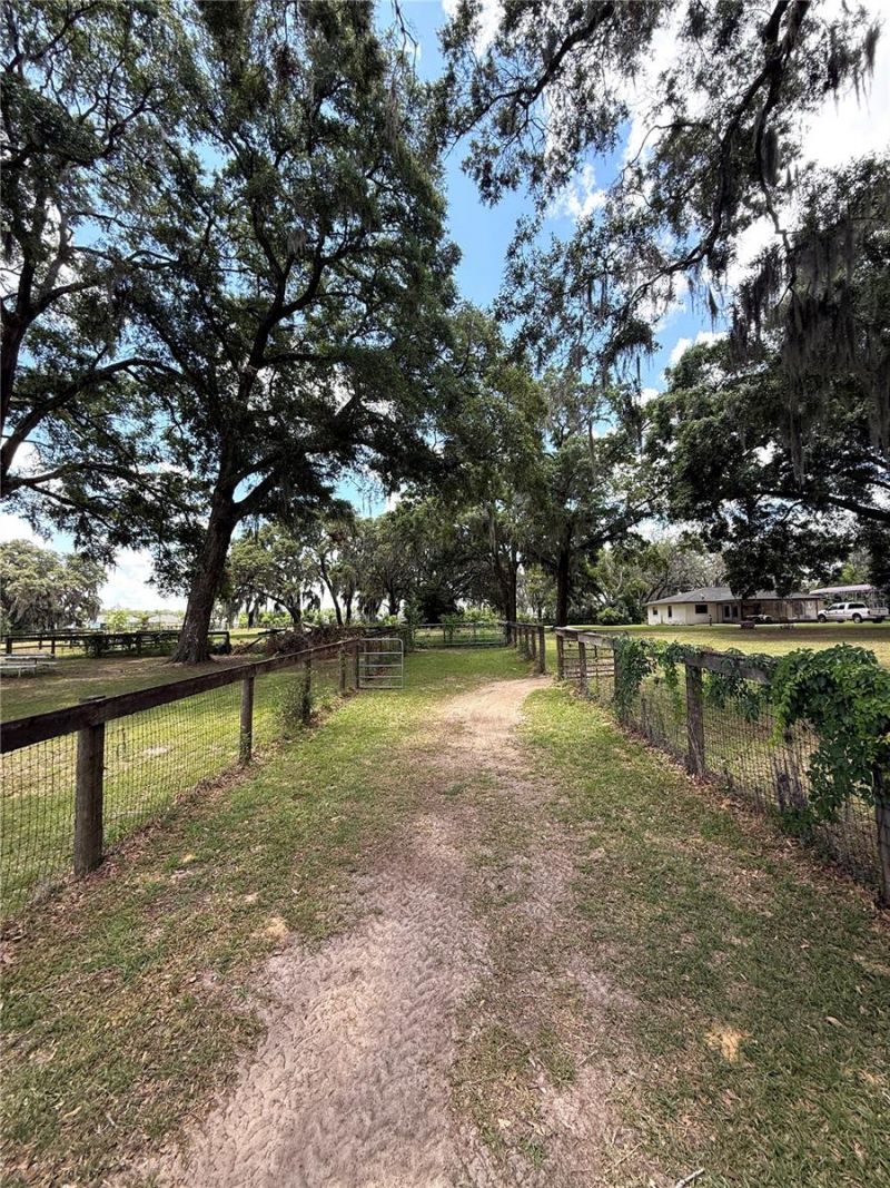 7119 SW 80th Avenue, Ocala, FL 34481 Photo