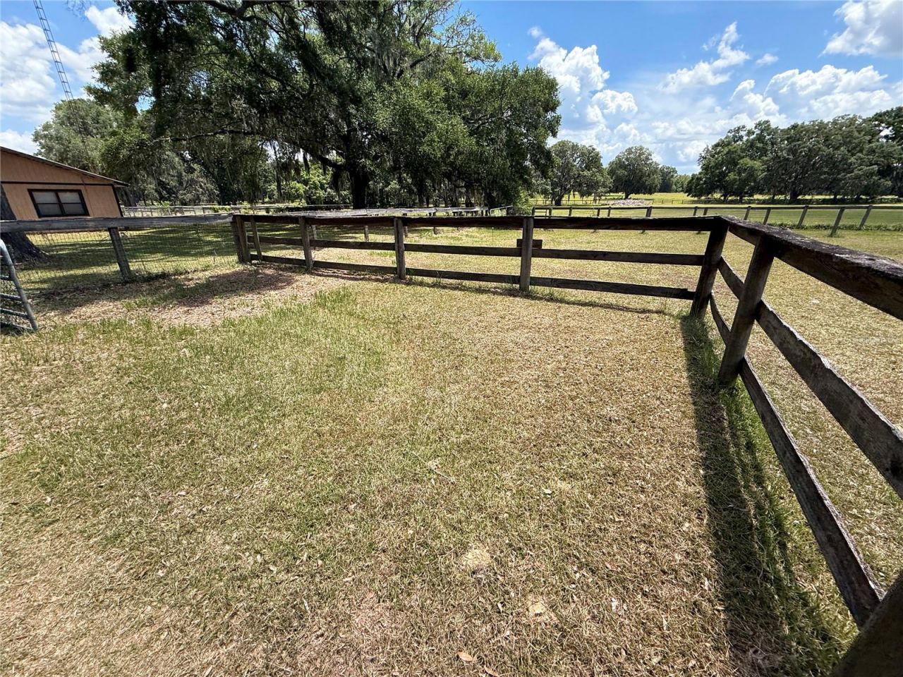 7119 SW 80th Avenue, Ocala, FL 34481 Photo