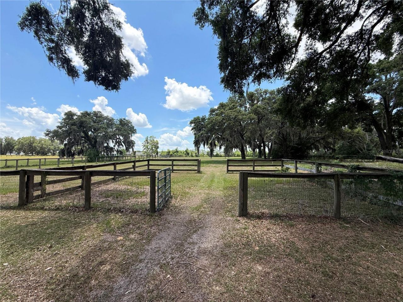 7119 SW 80th Avenue, Ocala, FL 34481 Photo