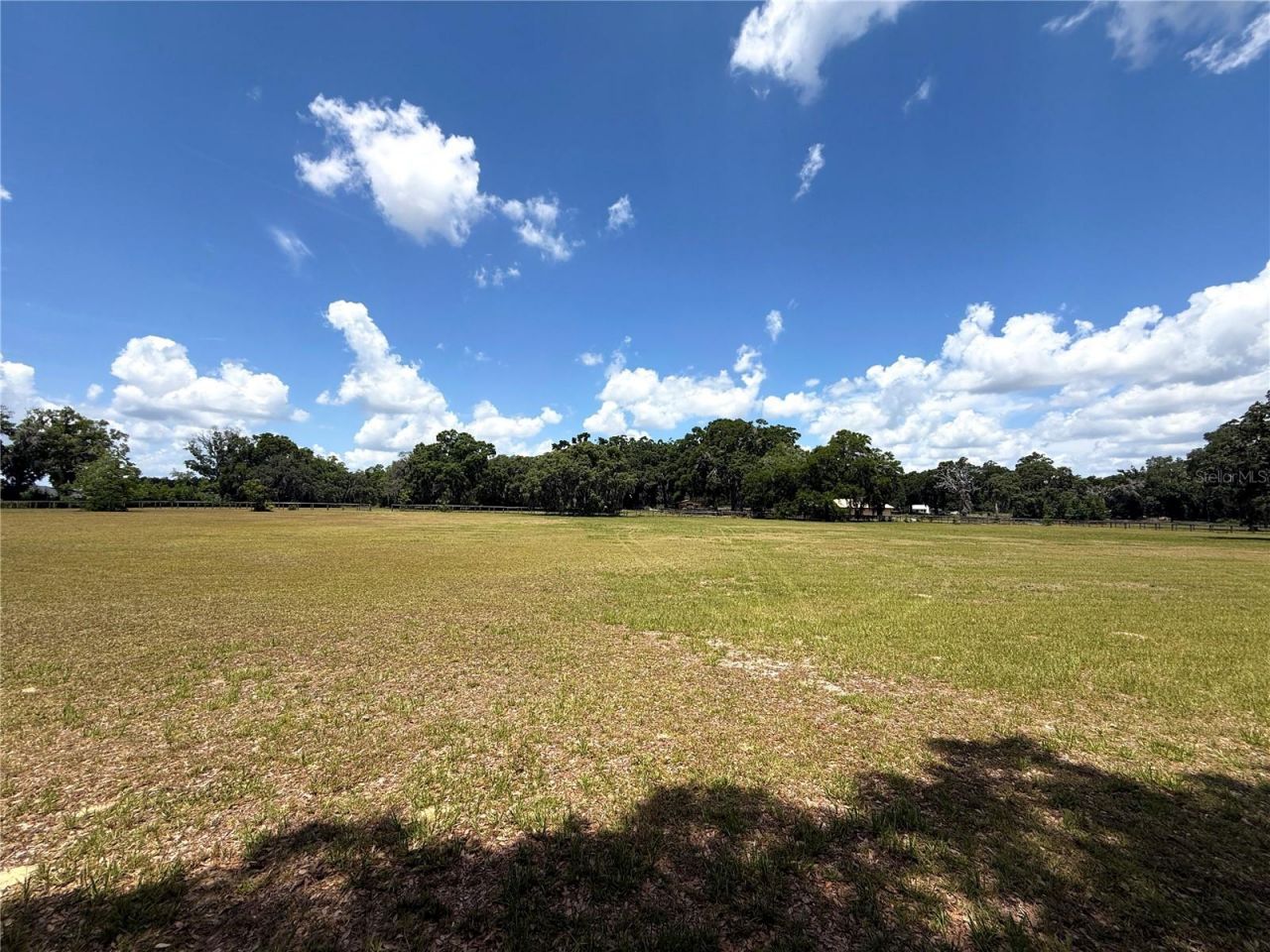 7119 SW 80th Avenue, Ocala, FL 34481 Photo