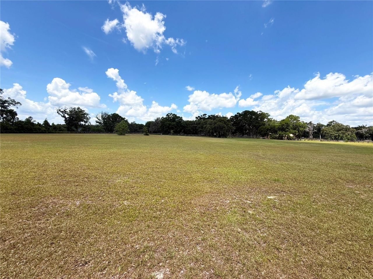 7119 SW 80th Avenue, Ocala, FL 34481 Photo