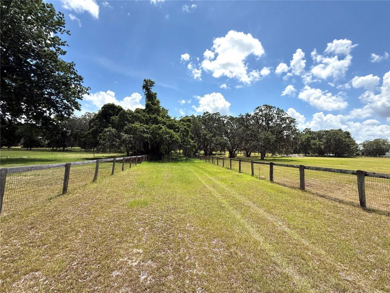 7119 SW 80th Avenue, Ocala, FL 34481 Photo