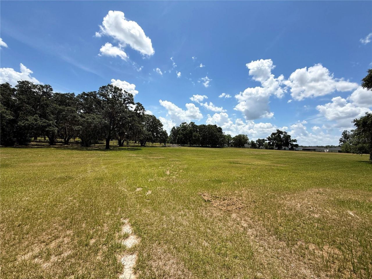 7119 SW 80th Avenue, Ocala, FL 34481 Photo