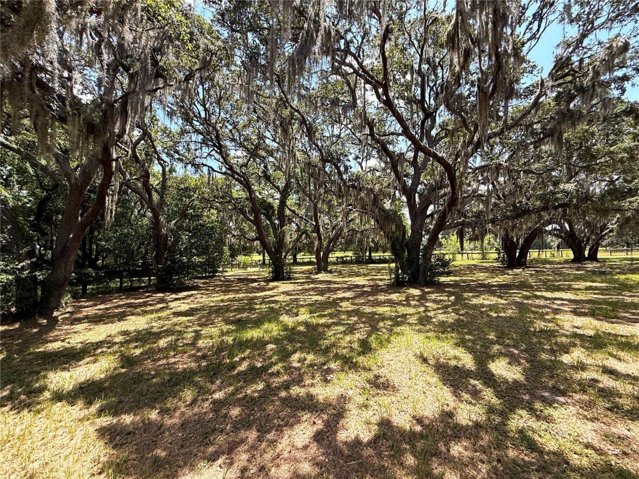 7119 SW 80th Avenue, Ocala, FL 34481 Photo