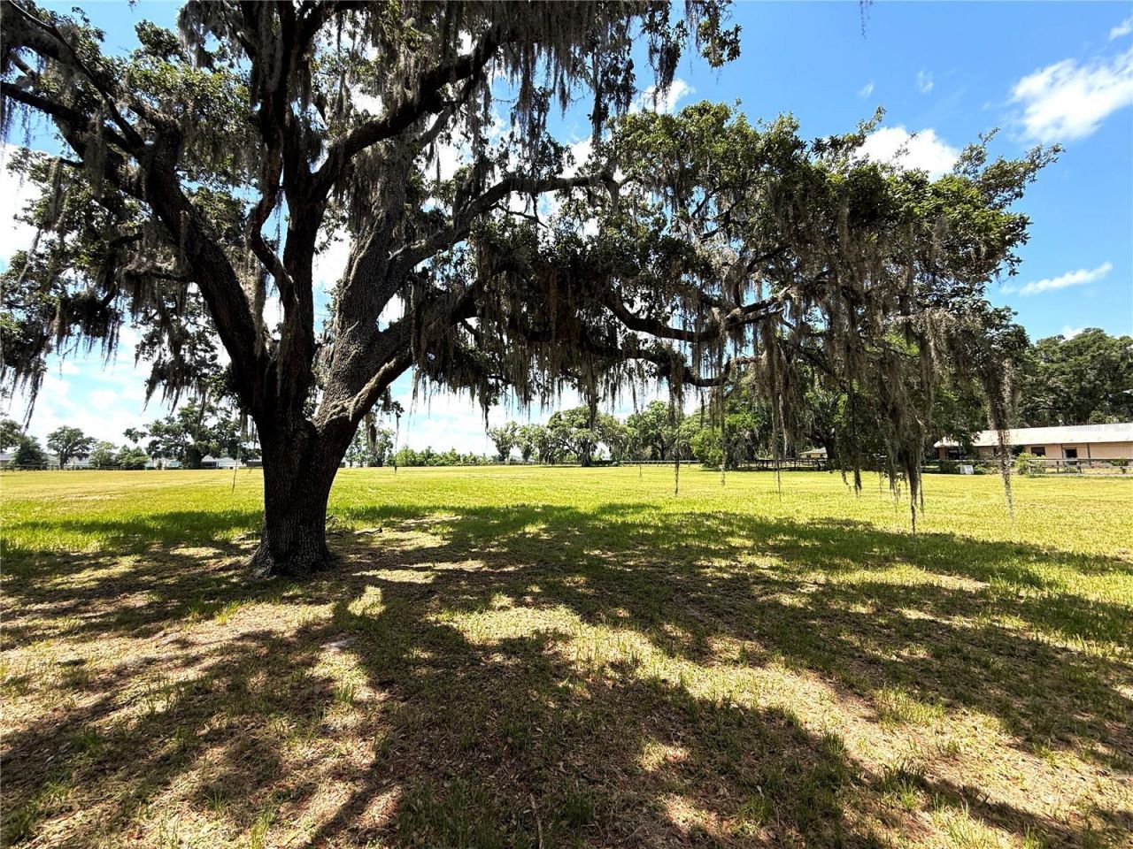 7119 SW 80th Avenue, Ocala, FL 34481 Photo