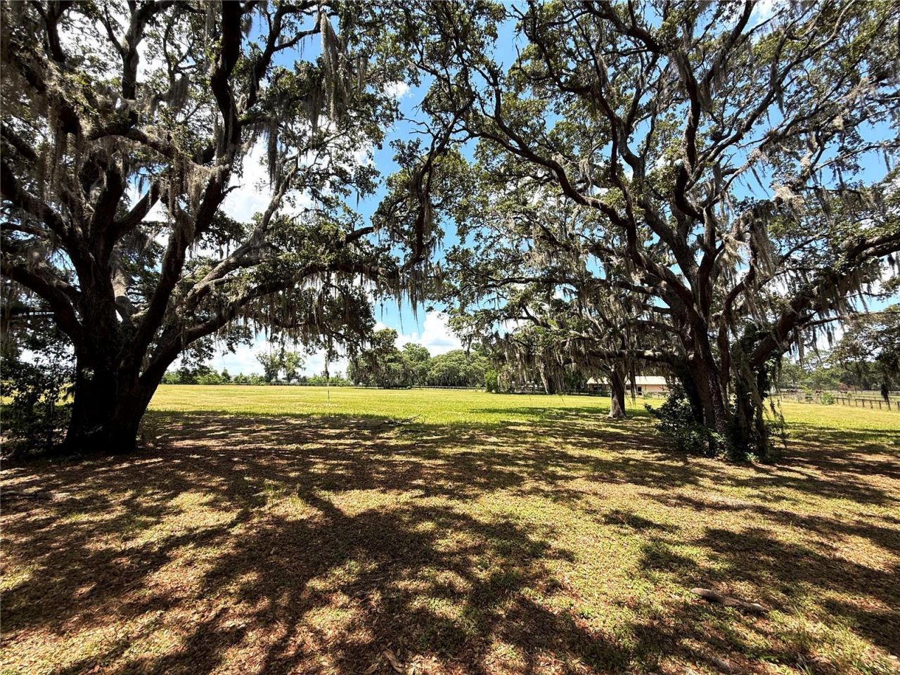 7119 SW 80th Avenue, Ocala, FL 34481 Photo