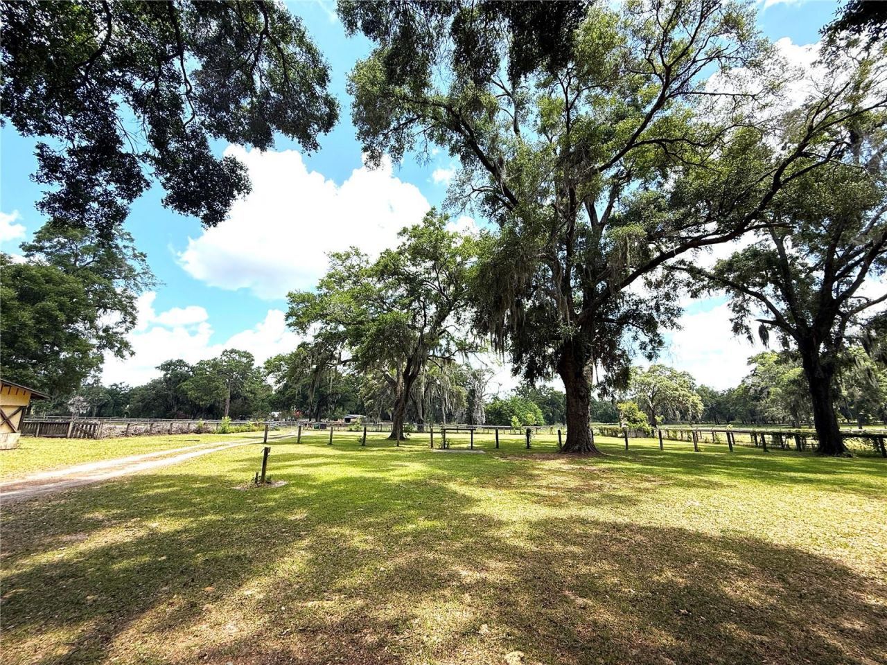 7119 SW 80th Avenue, Ocala, FL 34481 Photo