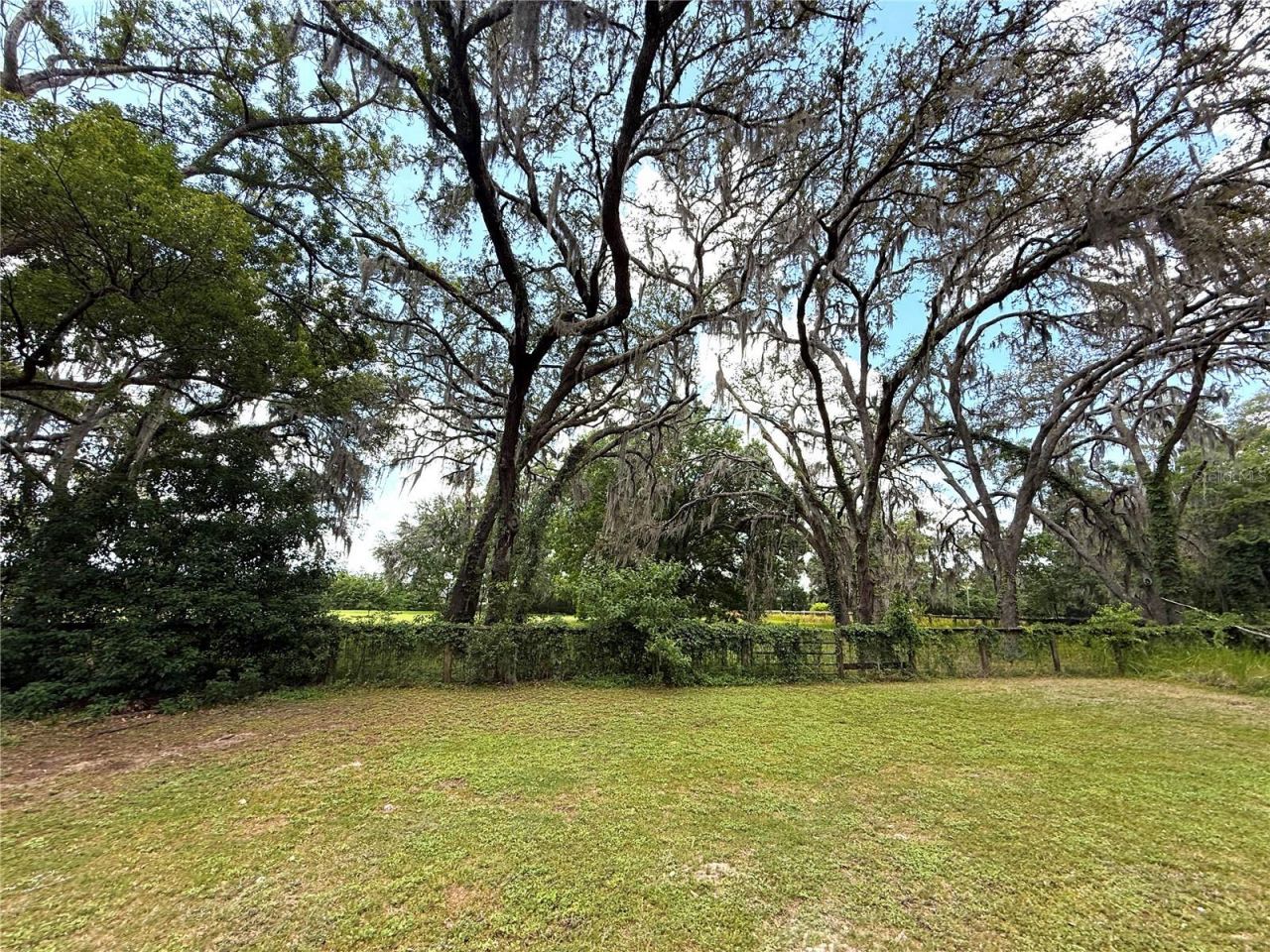 7119 SW 80th Avenue, Ocala, FL 34481 Photo