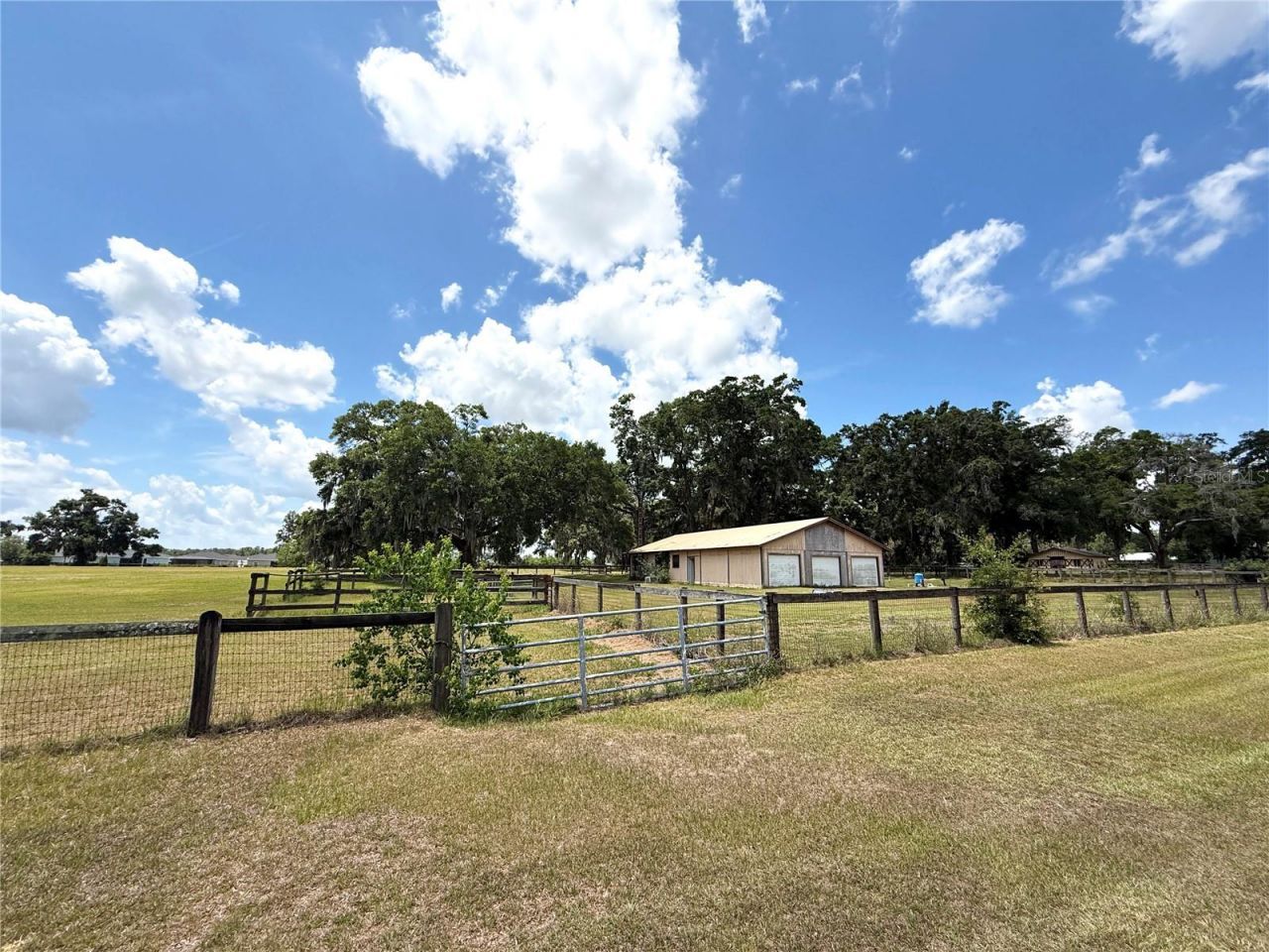 7119 SW 80th Avenue, Ocala, FL 34481 Photo