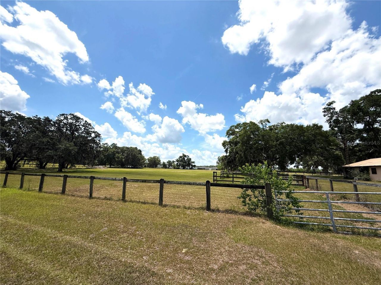 7119 SW 80th Avenue, Ocala, FL 34481 Photo