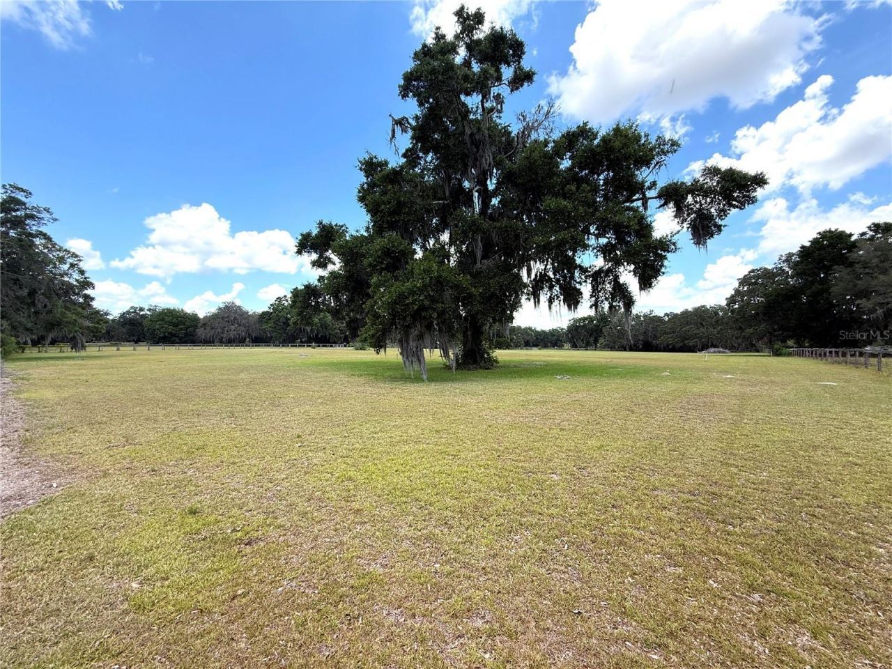 7119 SW 80th Avenue, Ocala, FL 34481 Photo