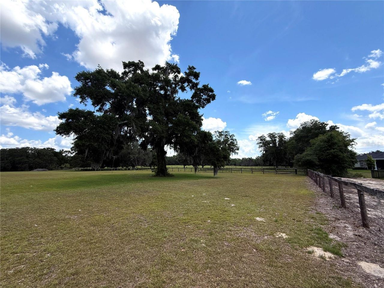 7119 SW 80th Avenue, Ocala, FL 34481 Photo