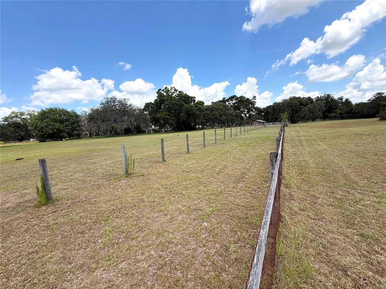 7119 SW 80th Avenue, Ocala, FL 34481 Photo