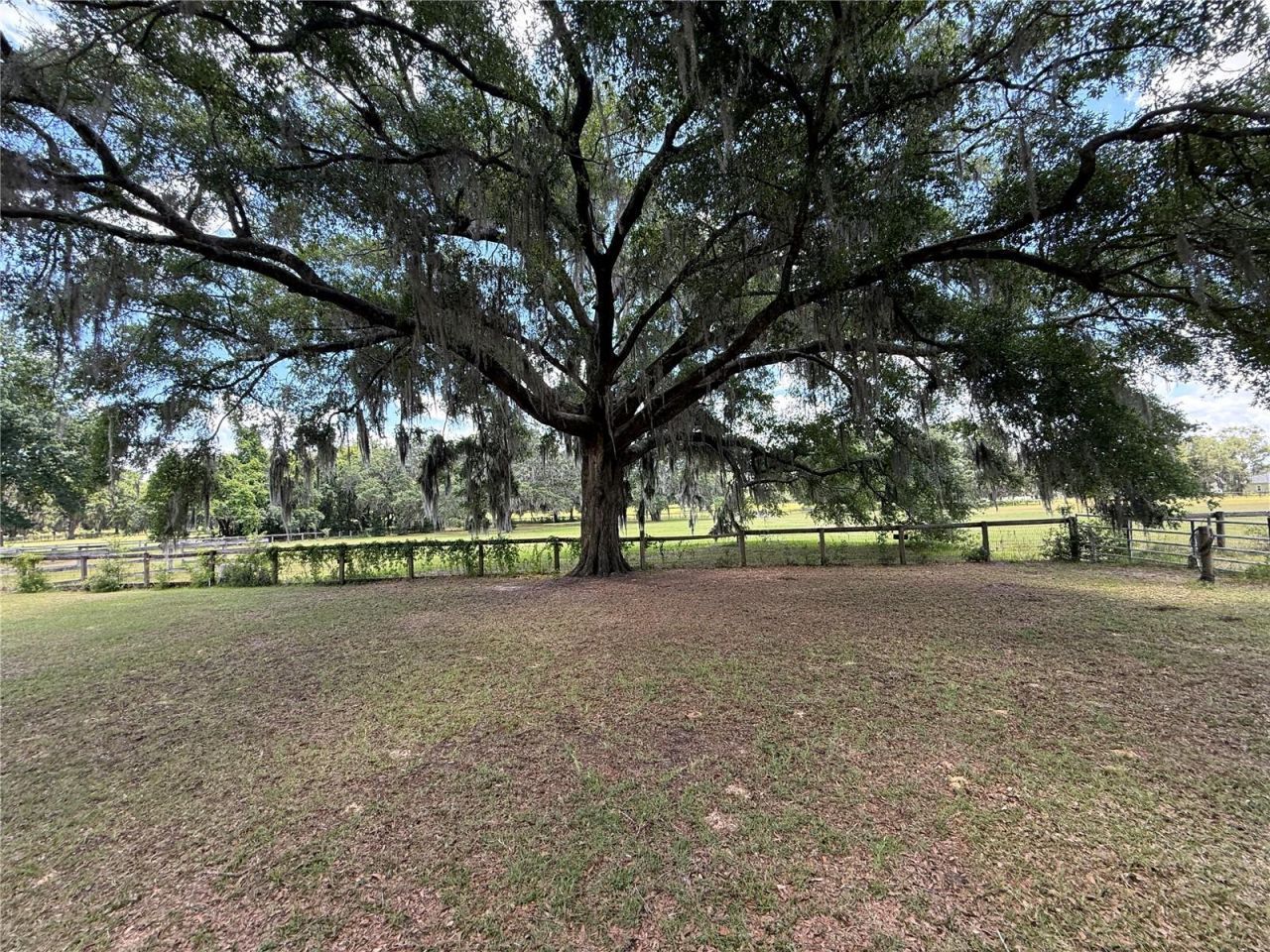 7119 SW 80th Avenue, Ocala, FL 34481 Photo