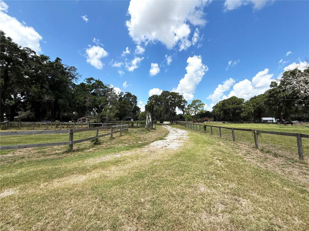 7119 SW 80th Avenue, Ocala, FL 34481 Photo