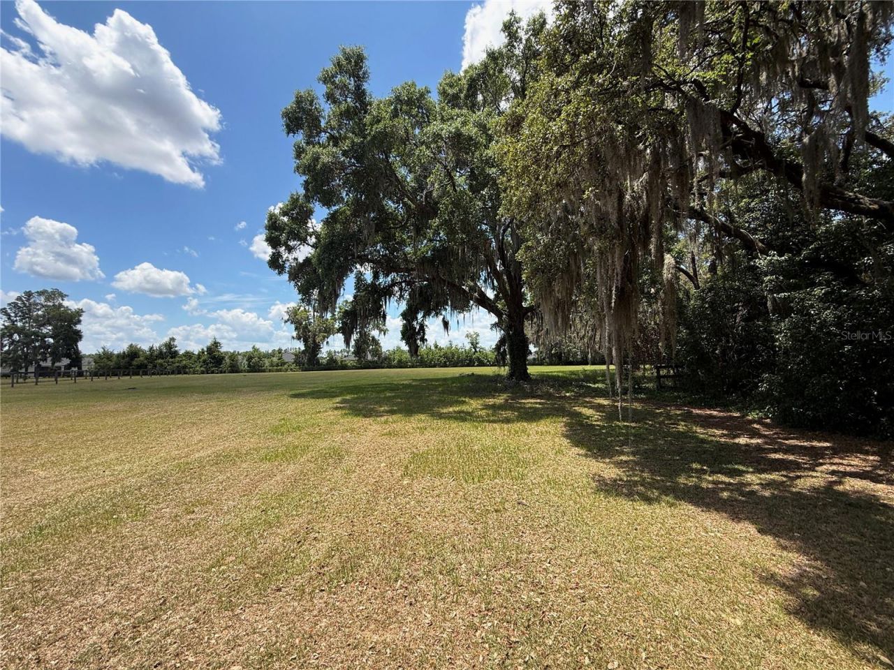 7119 SW 80th Avenue, Ocala, FL 34481 Photo