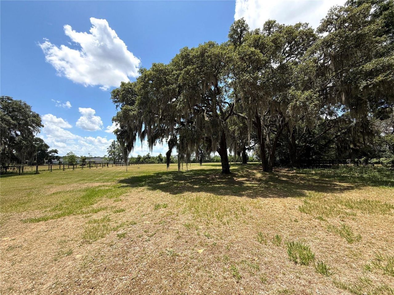 7119 SW 80th Avenue, Ocala, FL 34481 Photo