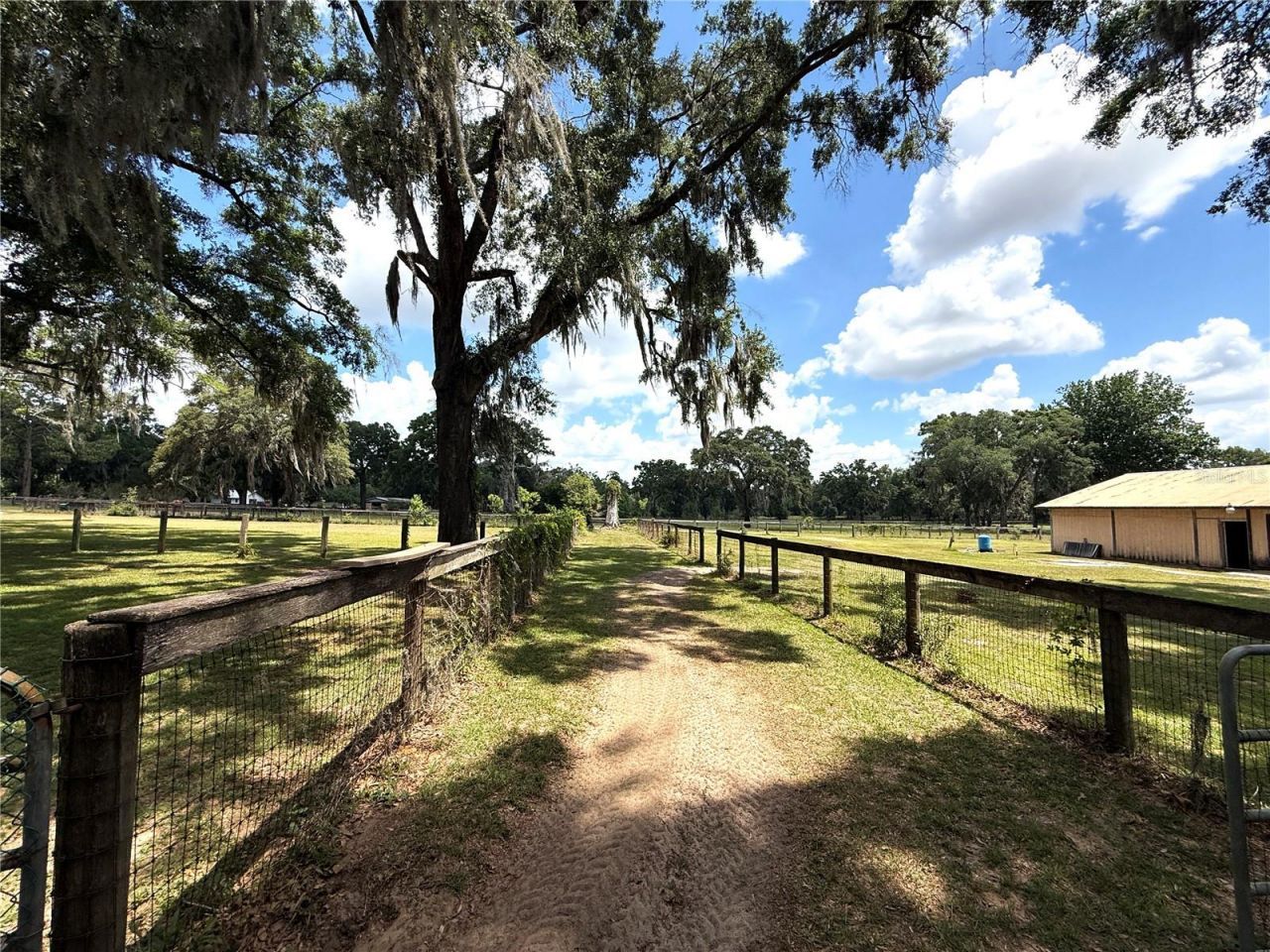 7119 SW 80th Avenue, Ocala, FL 34481 Photo