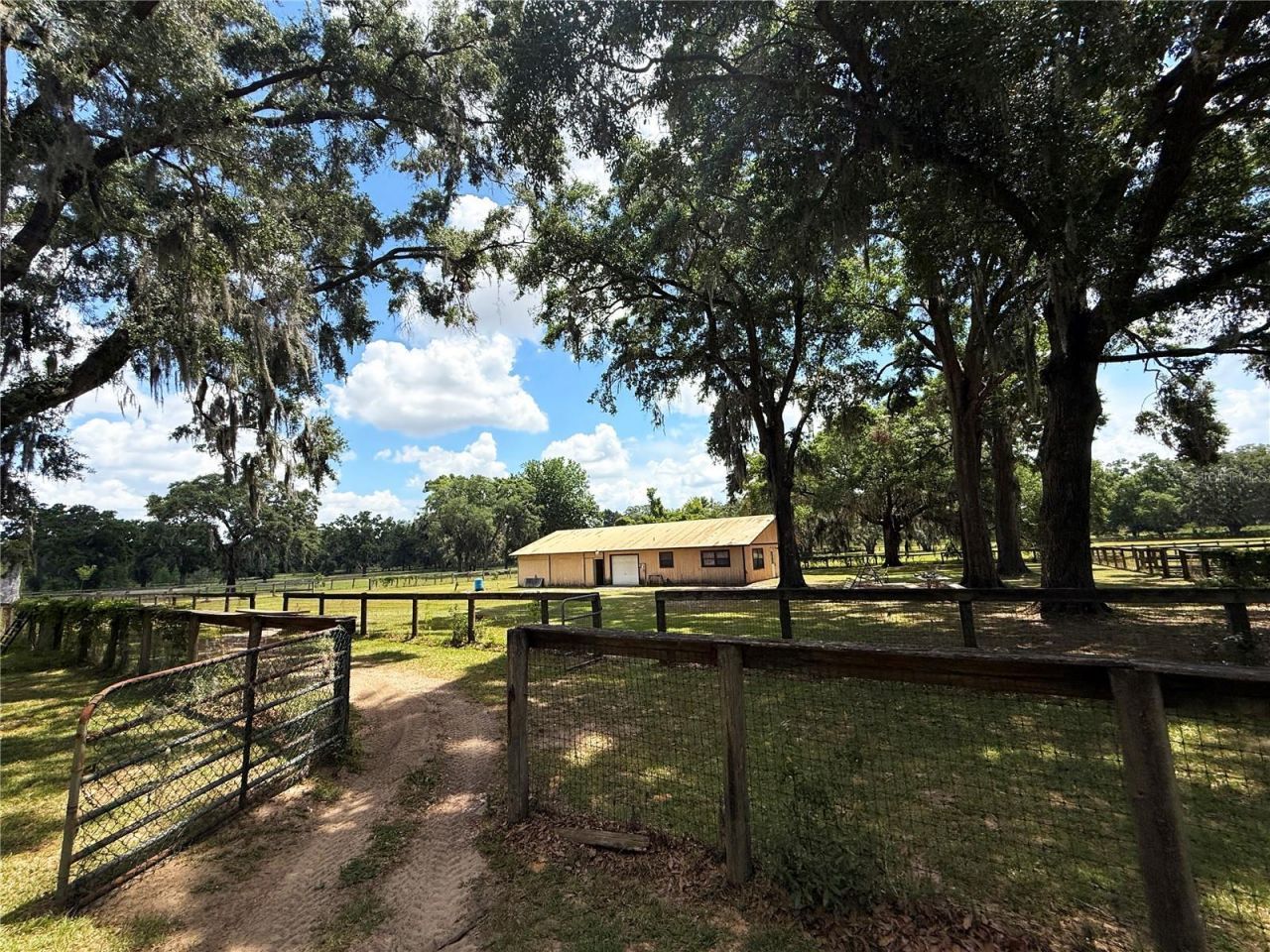 7119 SW 80th Avenue, Ocala, FL 34481 Photo