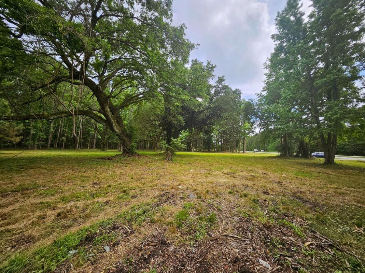6539 N Highway 17 Photo 4