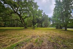 6539 N Highway 17 photo 4