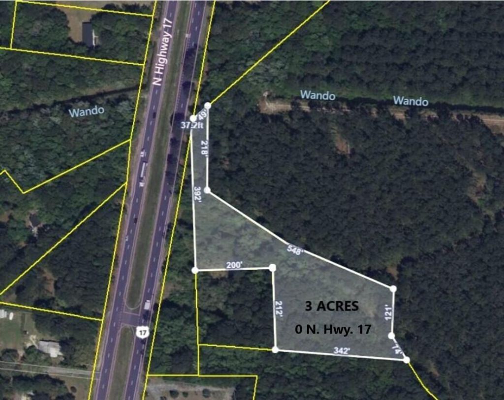 6539 N Highway 17 Photo 8