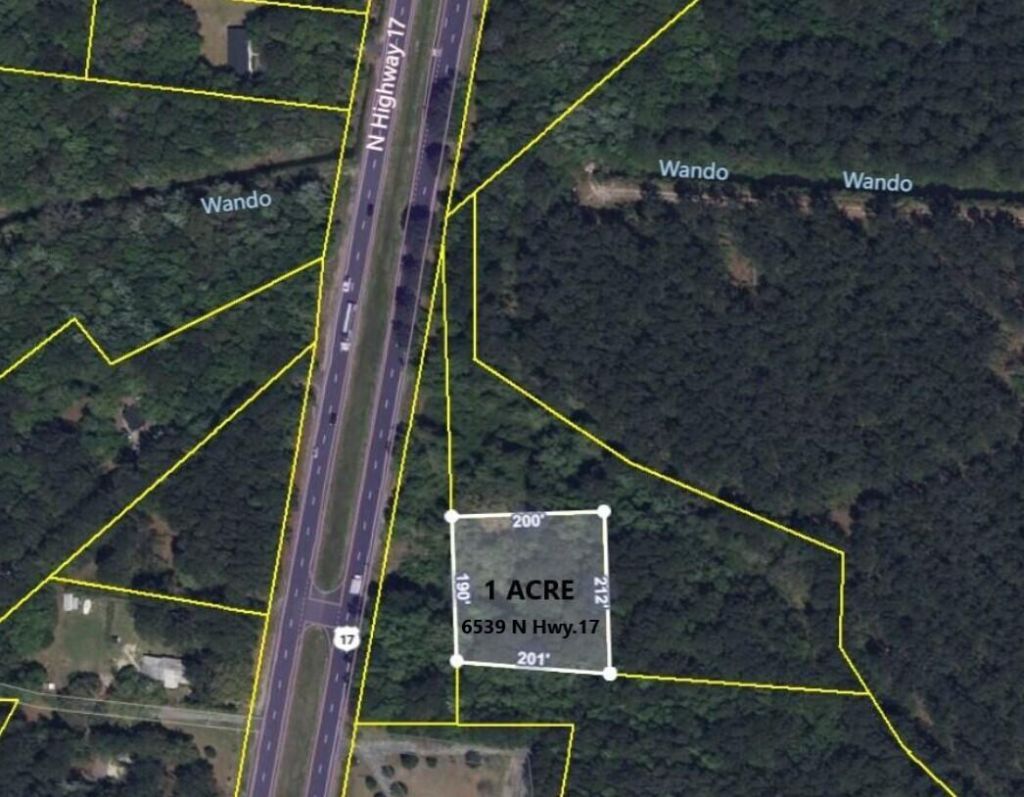 6539 N Highway 17 Photo 9