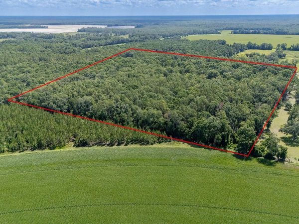 8289 NE HIGHWAY 349, OLD TOWN, FL 32680