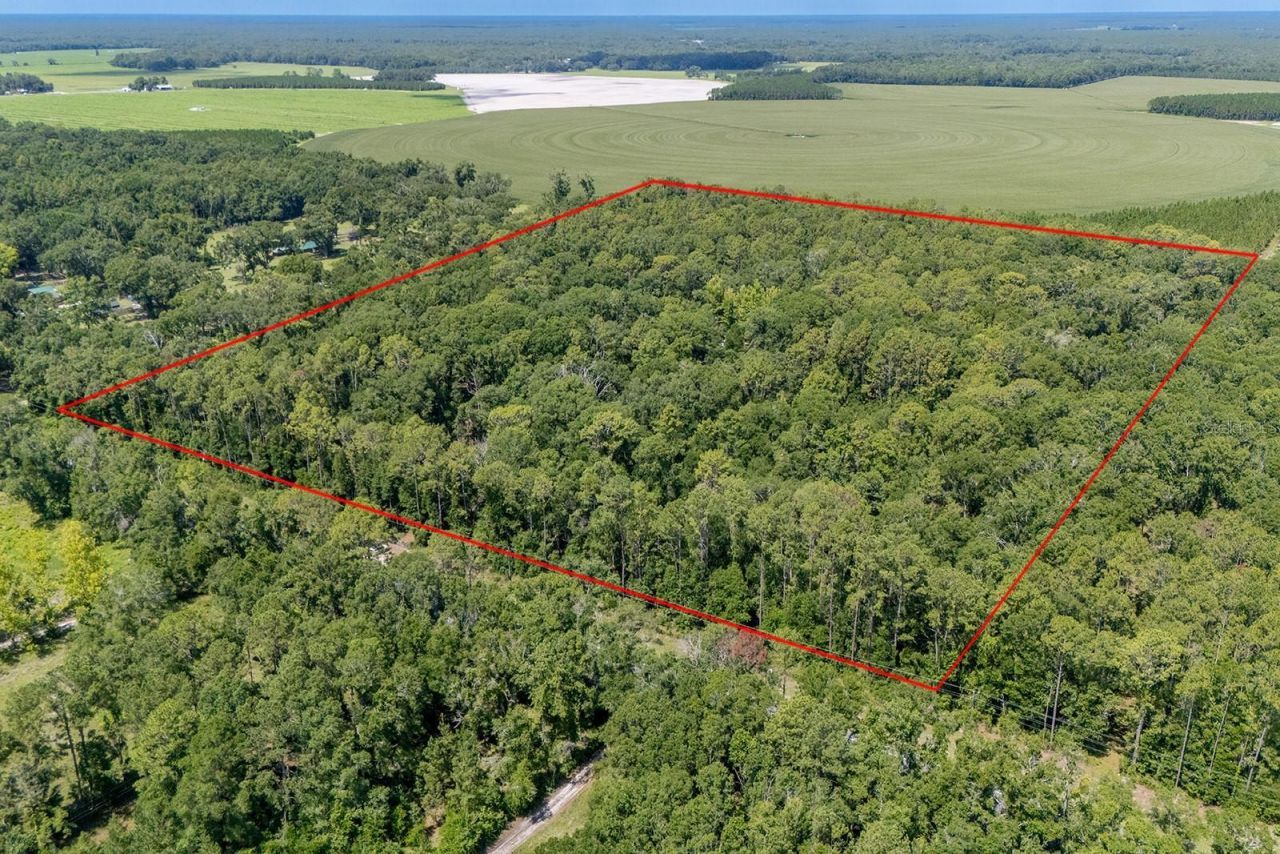 8289 NE Highway 349, Old Town, FL 32680 Photo