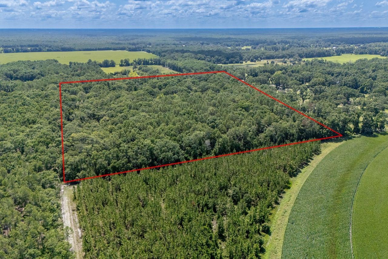 8289 NE Highway 349, Old Town, FL 32680 Photo