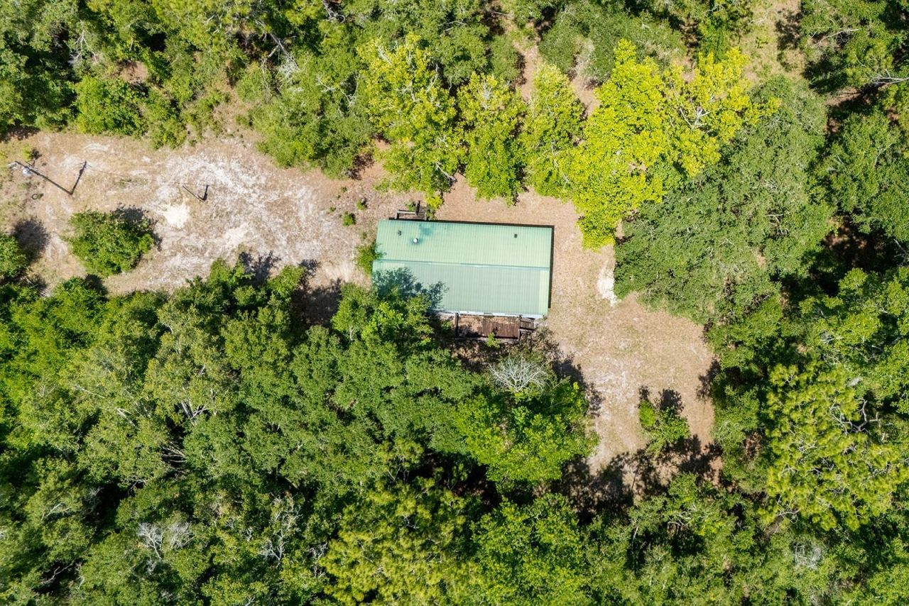 8289 NE Highway 349, Old Town, FL 32680 Photo